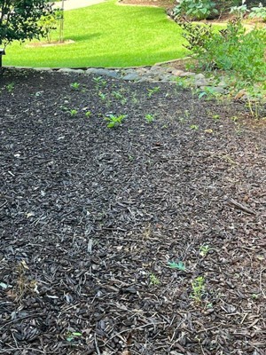 Guest review image 2 of 4, zoom in