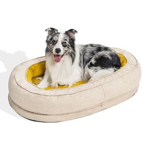 FUNNY FUZZY Orthopedic Dog Bed for Small Dogs - 1 of 1