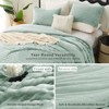BAGOKIE 3 Pieces Striped Flannel Comforter Bed Set with 2 Pillowcases - 3 of 4