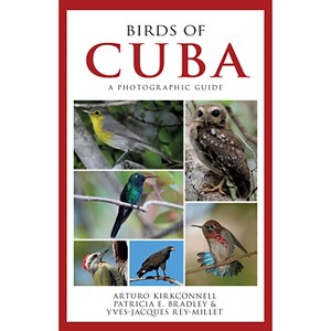 Birds of Cuba - by  Arturo Kirkconnell & Patricia E Bradley & Yves-Jacques Rey-Millet (Paperback) - 1 of 1