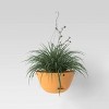  3pc Hanging Self-Watering Indoor Outdoor Planter Pot 1 Planter with Hanging Hardware 12"x12"x6" - Room Essentials™ - image 3 of 4