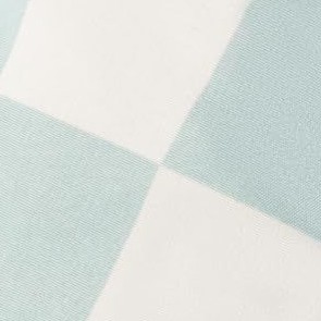 sage checkers