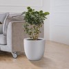 Rosemead Home & Garden Concrete Outdoor Planter Pot Chalk White 13.39"x13.39"x12.6" - 4 of 4