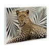 Stupell Industries Leopard with Palm Fronds, 19" x 13" - 3 of 4