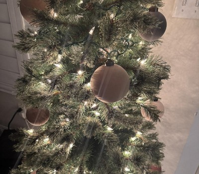 Guest review image 2 of 2, zoom in