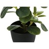 Artificial Plant, 14" Tall, Ficus, Indoor, Faux, Fake, Table, Greenery, Potted, Set Of 2, Decorative, Green Leaves, Black Pots - 3 of 4