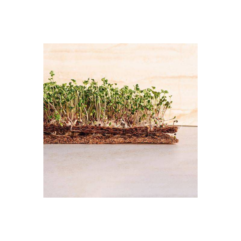 Envelor 10pk 10x20&#34; Coco Coir Grow Mats for Microgreens and Basket Liners, 4 of 7
