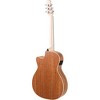 Applause AEO-69 Jump Series OM Acoustic-Electric Guitar - 4 of 4