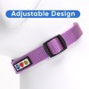 Solid Collar - 4 of 4
