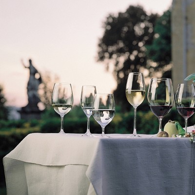 Riedel Champagne Glasses 9oz - Set of 2: Crystal Flutes, Dishwasher-Safe, Drinkware, Cold Beverages, Service for 2 ( missing 1)