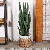 FOPAMTRI Artificial Snake Plant 38" Fake Sansevieria, Perfect Faux Plants for Home Garden Office Store Decoration, 32 Leaves - 2 of 3