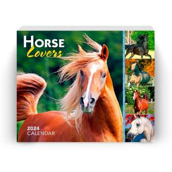 Browntrout 2024 Daily Calendar 5"x6" Horse Lovers