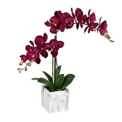 Vickerman 22" Artificial Potted Real Touch Phalaenopsis
