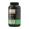 Optimum Nutrition L-Glutamine Muscle Recovery Powder, 300g, Unflavored, 58 Servings - 2 of 4