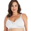 Playtex 18 Hour Silky Soft Smoothing Wireless Bra, 2-Pack - image 2 of 4