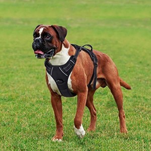 rabbitgoo Adjustable Dog Harness No Pull Reflective Vest with Handle High Visibility Reinforced Straps Easy Control Harness (Large, Black) - 1 of 1