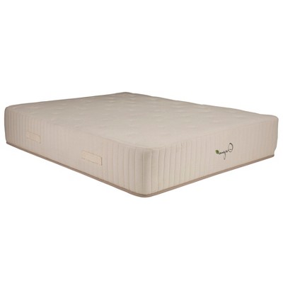 HomeStock Organa Super Plus 12 in. Latex Pocket Spring Mattress, Beige