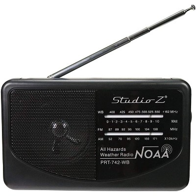 fm speaker
