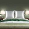 PiccoCasa Skin Luxurious Zipper Closure Satin Pillowcases 2 Pcs - 2 of 4