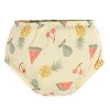 Gerber Baby Girls' Cotton Dress & Diaper Cover Set - 2-Piece - 4 of 4