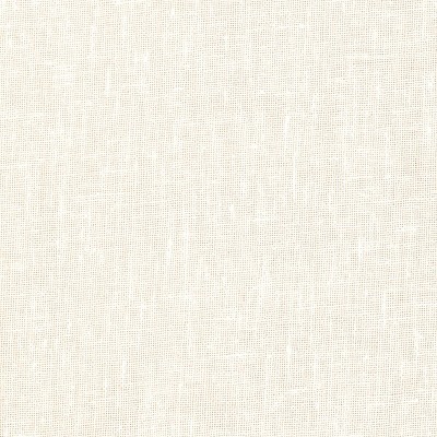 Ivory Light Filtering Polyester Sheer Curtain Panel