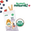Little Bellies Organic Berry Yogurt Pick-me Sticks Baby Snacks - 0.56oz - 3 of 4
