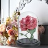 Unique Bargains Wooden Base Christmas Home Decor Glass Bell Jar Display Case - 4 of 4