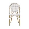 Elize 2pk Outdoor French Bistro Chairs: Aluminum Frame, Pe Rattan, Uv ...