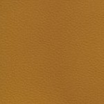 alabama crimson tide script a