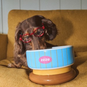 ZEZE Retro Stripe Raised Ceramic Cat & Dog Bowl, 11 oz, Blue : Target