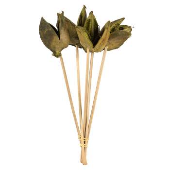 Vickerman 16" Sora Pod attached to a Wood Stem, Dried 5 Pack