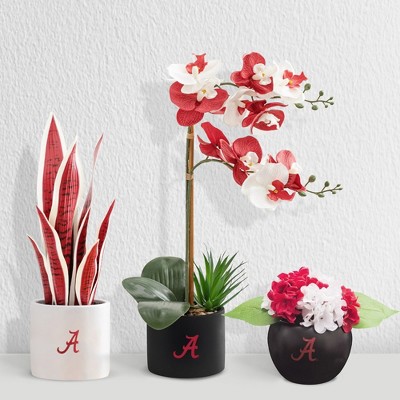 Forever Leaf Alabama Artificial Snake, Orchid and Hydrangea Plants 3-Pack Bundle, Indoor Artificial Plant for Home Decor