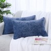PiccoCasa Set of 2 Chenille Soft Decorative Cushion Water Repellent Throw Pillowcases - 2 of 4