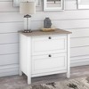 2 Drawer Mayfield File Cabinet Shiplap Gray/Pure White - Bush Furniture: Modern Farmhouse Style, MDF Laminate - image 2 of 4