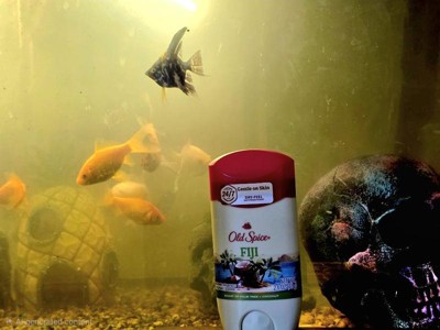 Guest review image 1 of 1, zoom in