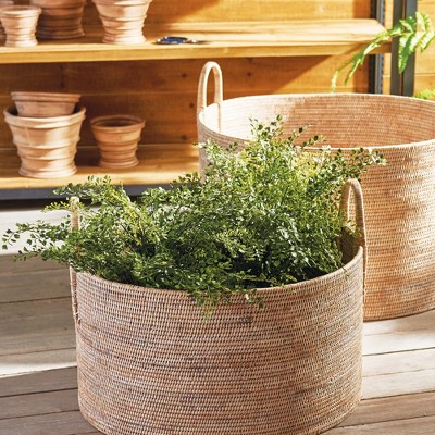 23" Green Faux Fern Drop-In with Paper Root Ball
