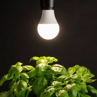 Full Spectrum White LED Grow Light Bulbs 2-Pack
