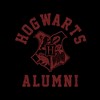 Men's Harry Potter Hogwarts Alumni Pull Over Hoodie - 2 of 4