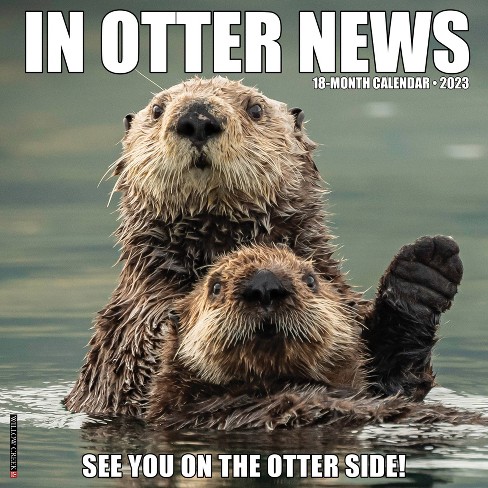 Willow Creek Press 2023 Wall Calendar In Otter News : Target