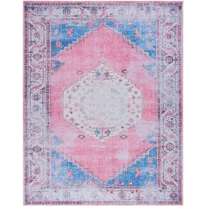 Serapi SEP357 Machine Washable Skid Resistant Power Loomed Indoor Rugs - Safavieh - 1 of 4