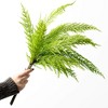 23"H Sullivans Artificial Christmas Long Evergreen Bush, Green, Indoor Christmas Decor - 3 of 3