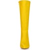 BLISSFUL STEP Women's Halloween Pointed Toe Side Zipper Stiletto Heel Knee High Boots - 2 of 4
