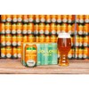 Cigar City Jai Low IPA Beer - 6pk/12 fl oz Cans - 3 of 4