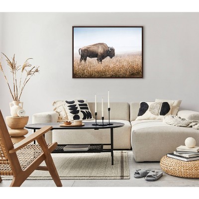American Bison Buffalo in Prairie Grass Framed Canvas Wall Art