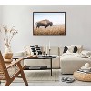 Kate & Laurel All Things Decor Sylvie American Bison Buffalo in Prairie Grass Framed Canvas Wall Art Brown - 3 of 4