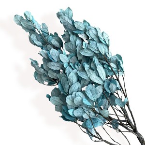 Alilang Decorative Dried Leafy Branches for Modern Home Decoration and Floral Arrangements, 15.5 Inches - 1 of 3