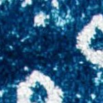 navy/turquoise