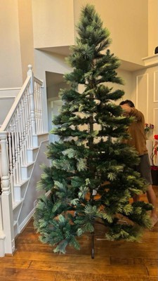 Guest review image 1 of 2, zoom in