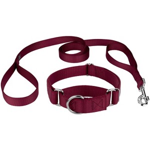Country Brook Design Martingale Heavyduty Nylon Dog Collar and Double Handle Leash - 1 of 4