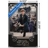 Trends International Fantastic Beasts And Where To Find Them - Newt Steps Unframed Wall Poster Prints - 3 of 4